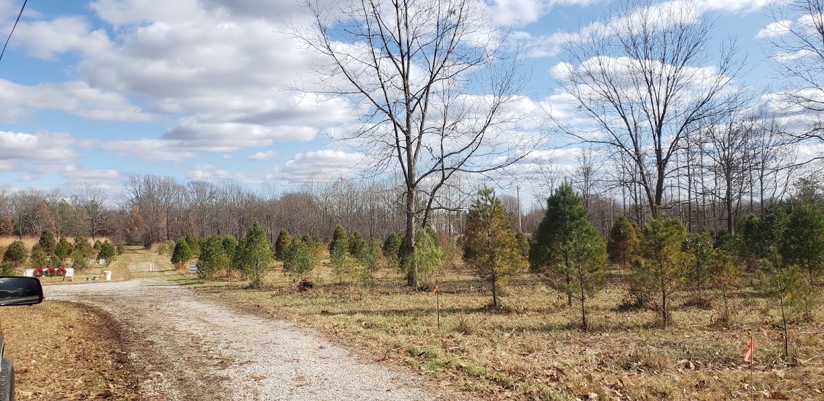Hartman Tree Farm in Bowling Green, Kentucky