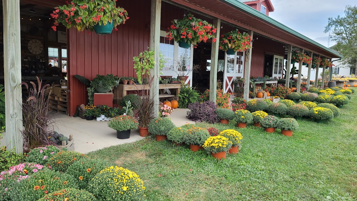 Harvestville Farm in Donnellson, Iowa