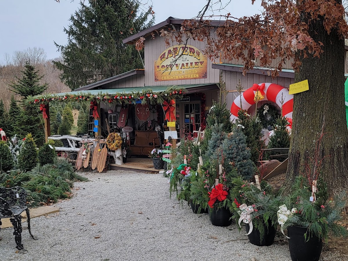 Havers Lost Valley Nursery, Christmas Tree farm and Antiques in Omaha, Nebraska