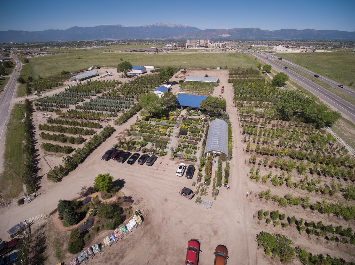 Heidrich's Colorado Tree Farm Nursery in Colorado Springs, Colorado