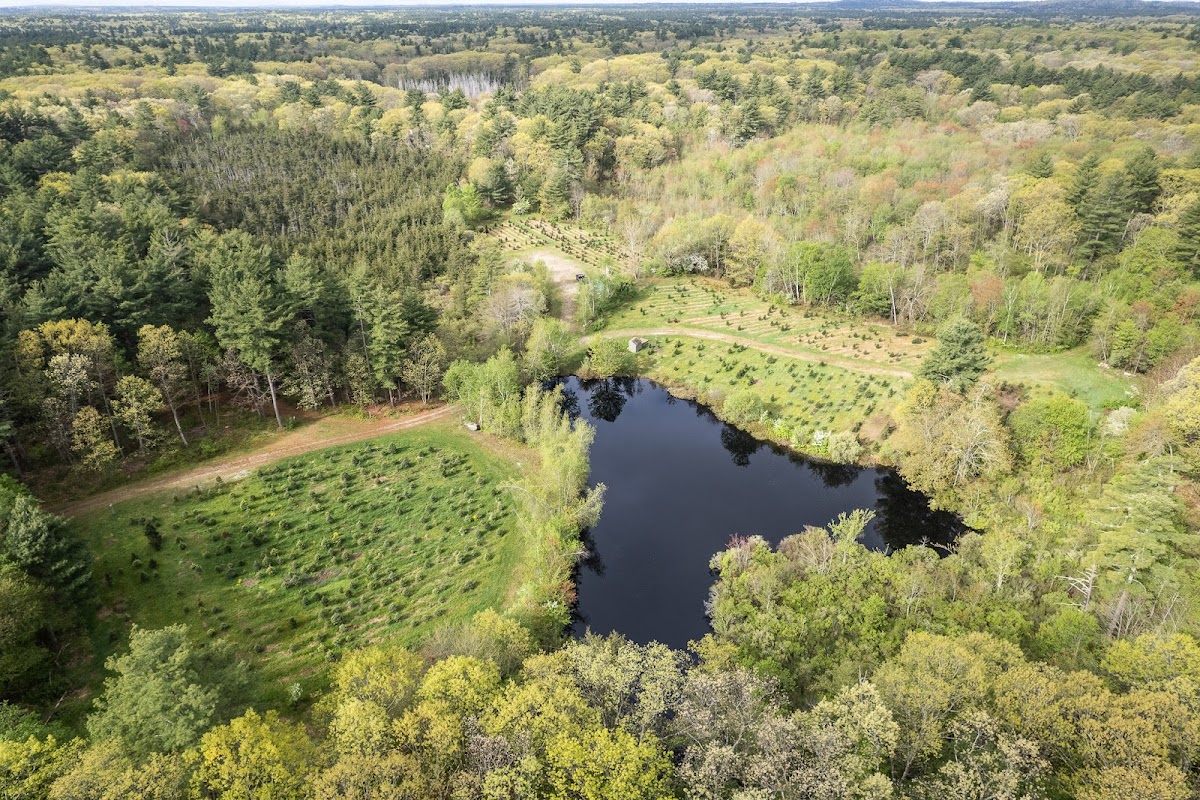 Herrick Tree Farm in Boxford, Massachusetts