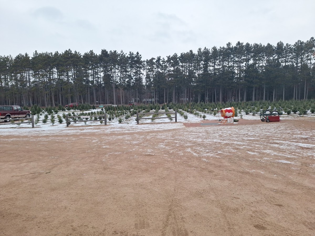 Hess Tree Farm in Wisconsin Rapids, Wisconsin