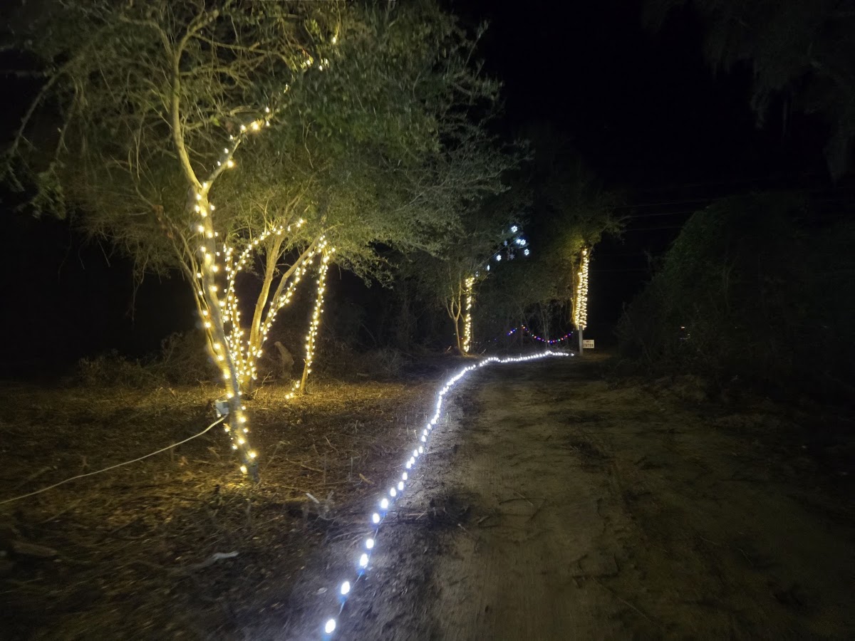 Hidden Cypress Christmas Tree Farm in Cottondale, Florida