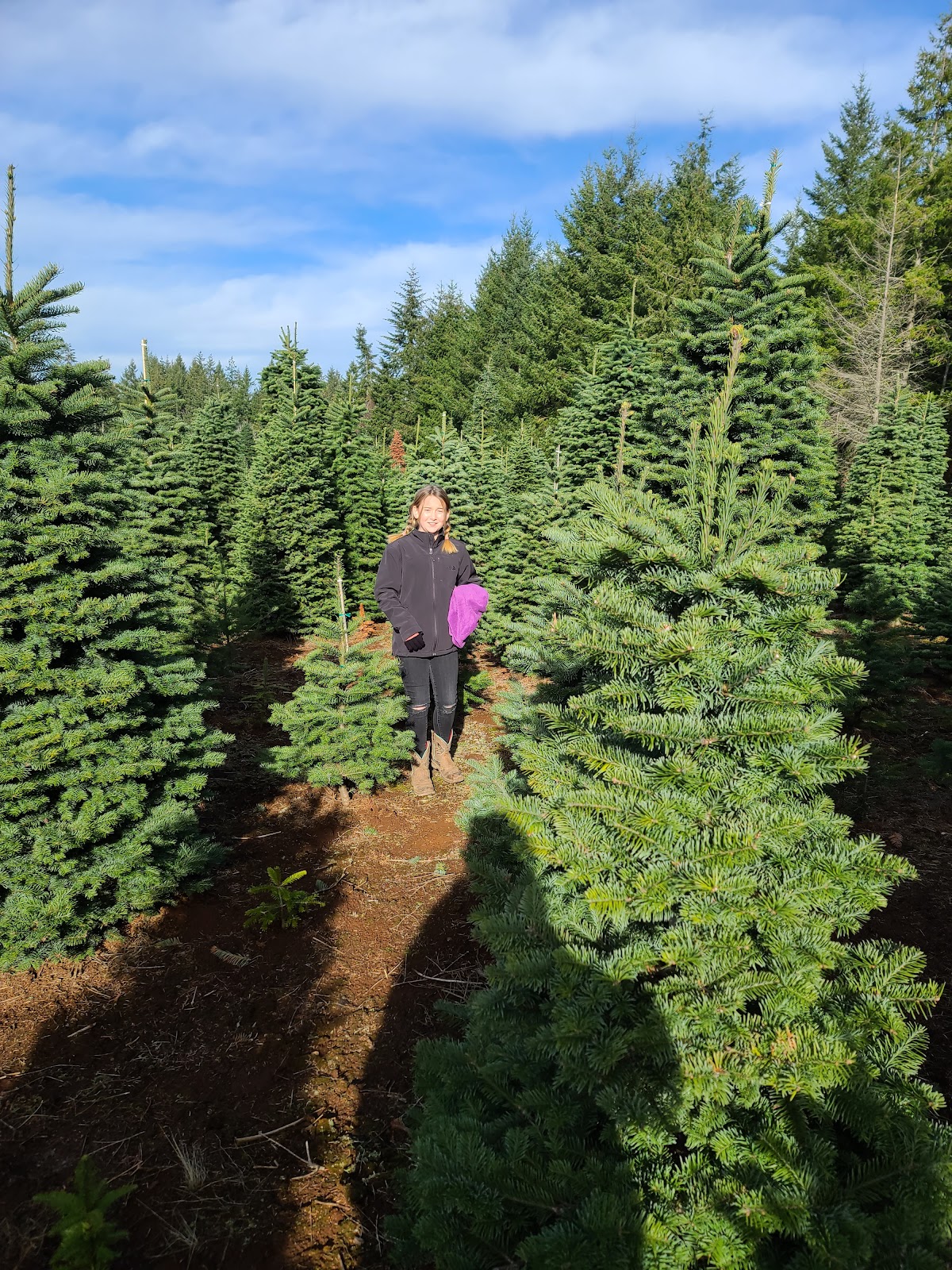 Hidden Lake Tree Farm in Silverton, Oregon