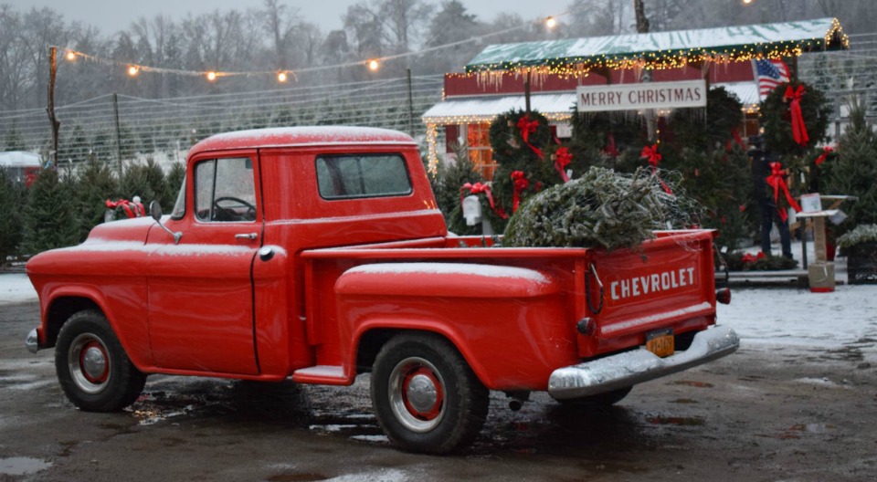 Hidden Pond Tree Farm in Mendham, New Jersey