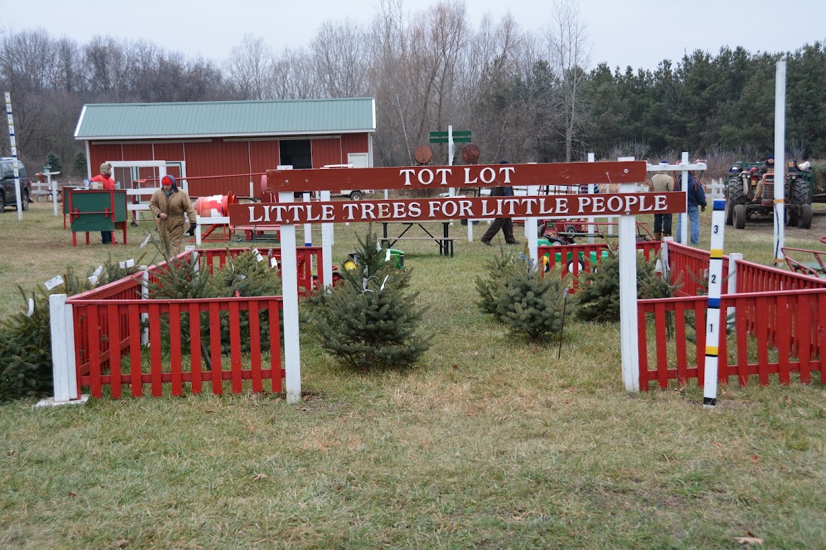 Hillside Christmas Tree Farm in Manchester, Michigan