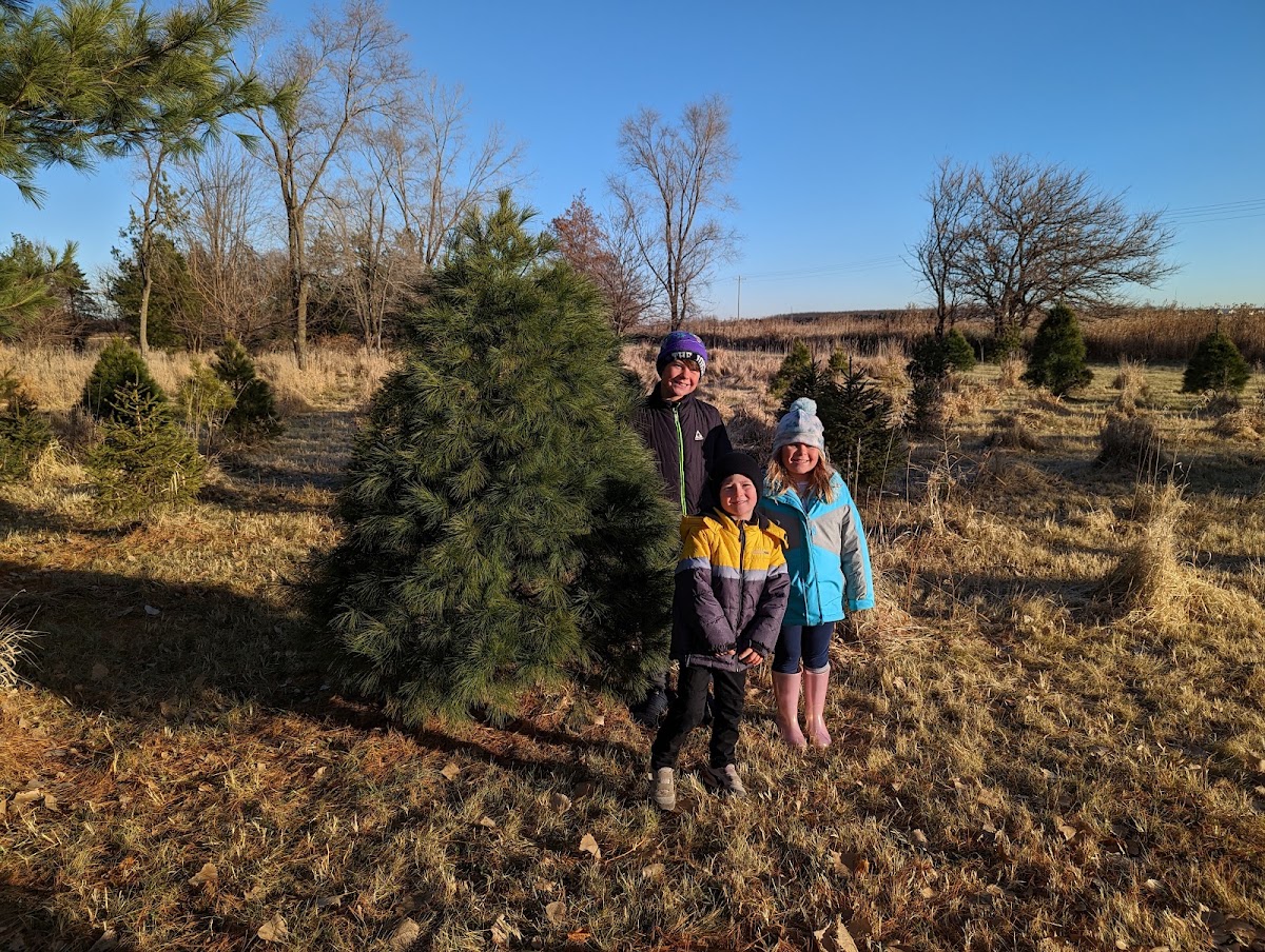 Hoffman Tree Farm in Marion, Iowa