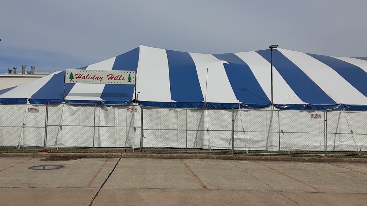 Holiday Hills Christmas Trees Lot 6 in San Antonio, Texas