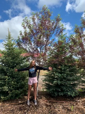 Holley Tree Farm in Idaho Falls, Idaho