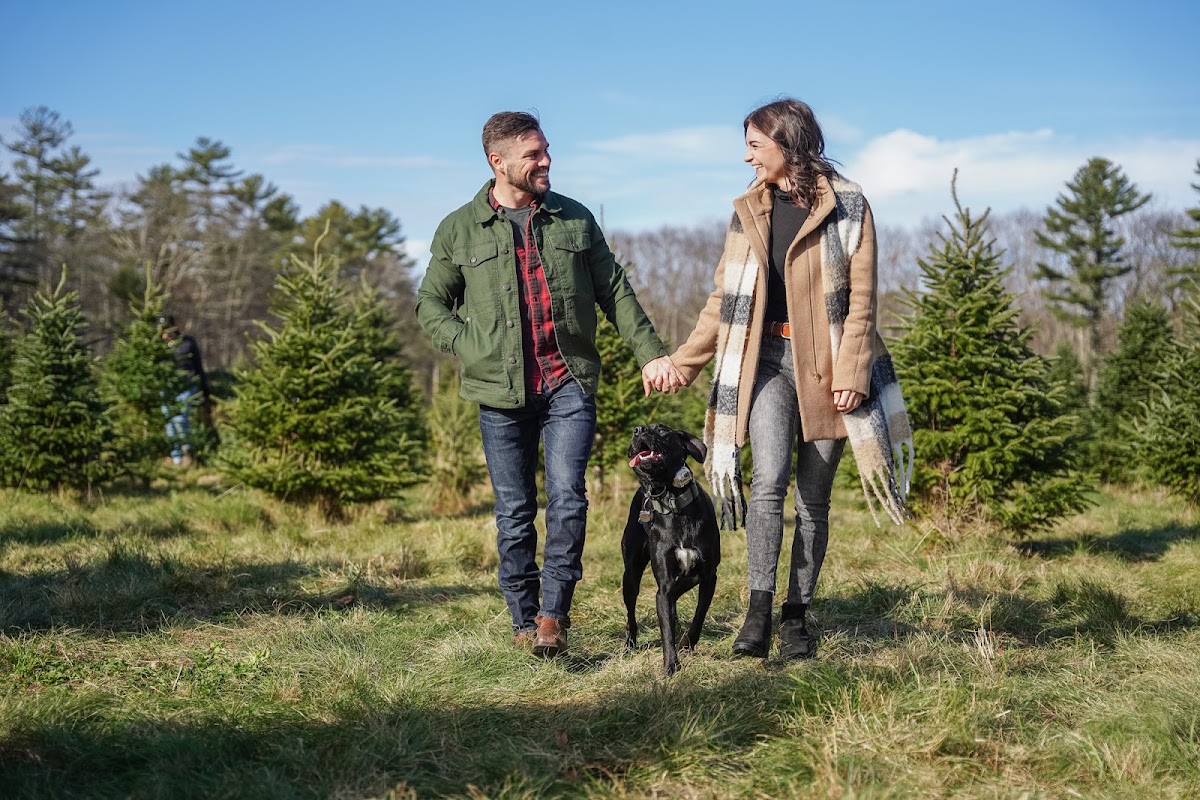 Holmes Tree Farm in Kennebunk, Maine