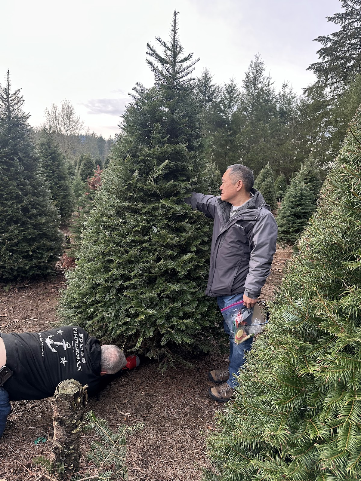 Honeytree Farm in Auburn, Washington