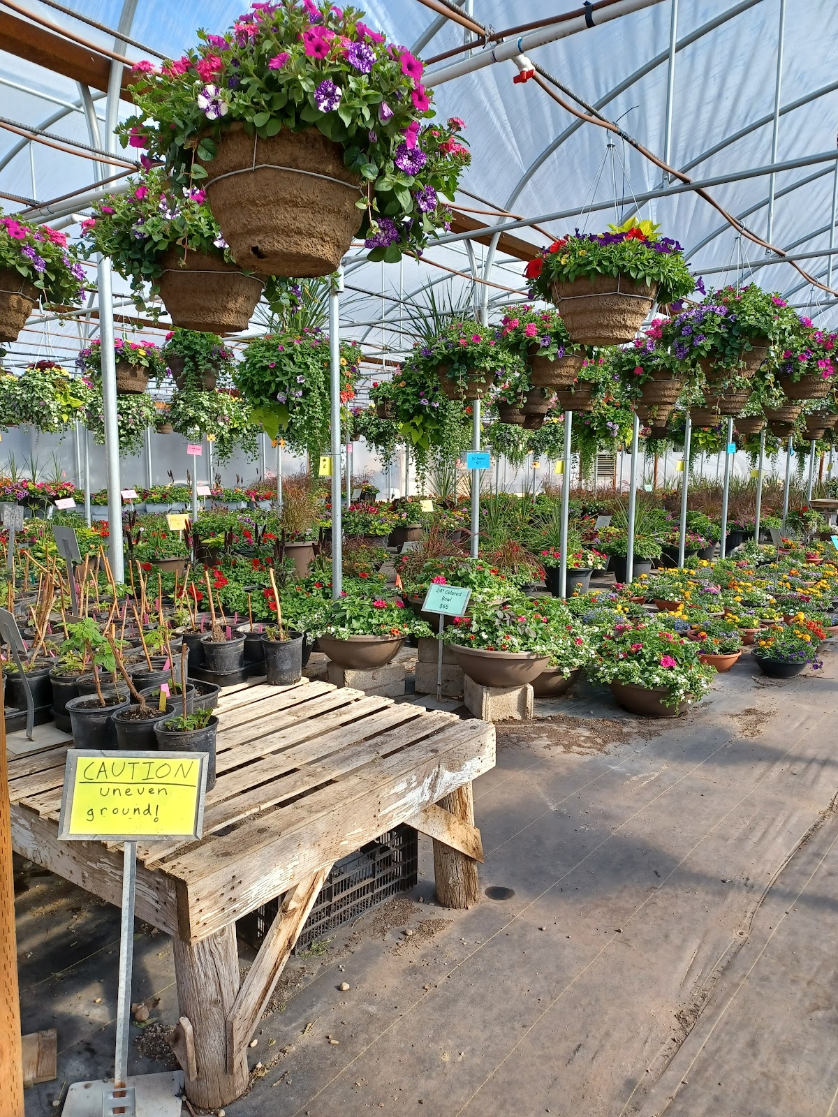 Hopkins Evergreens in Nampa, Idaho