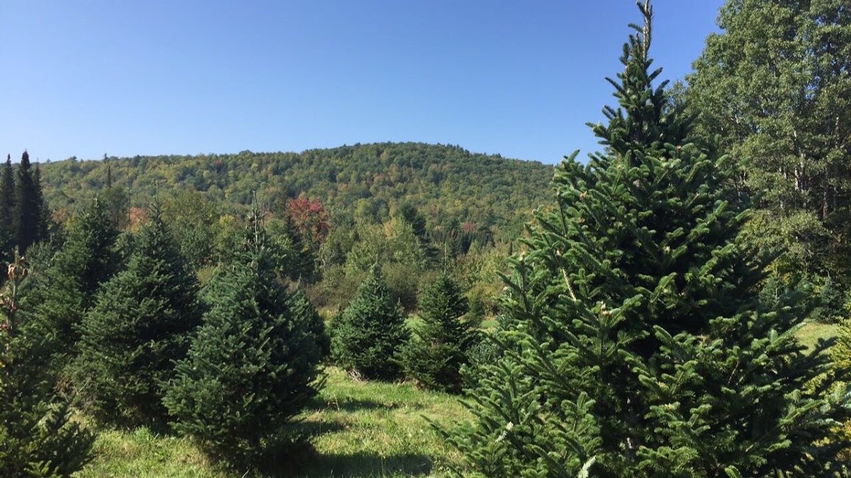 Hornbeam Mountain Farm in Mount Vernon, Maine