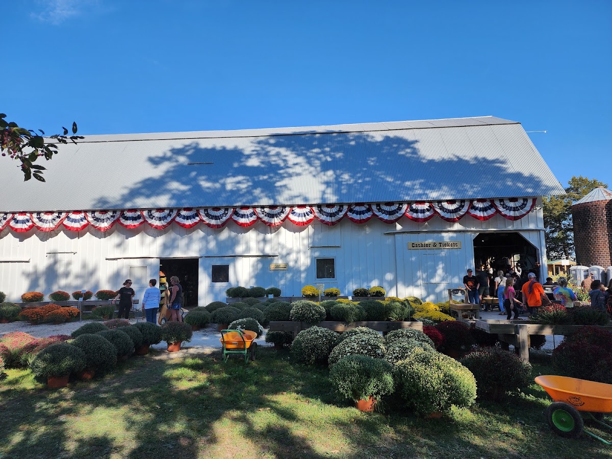 Howell's Greenhouse and Pumpkin Patch in Cumming, Iowa