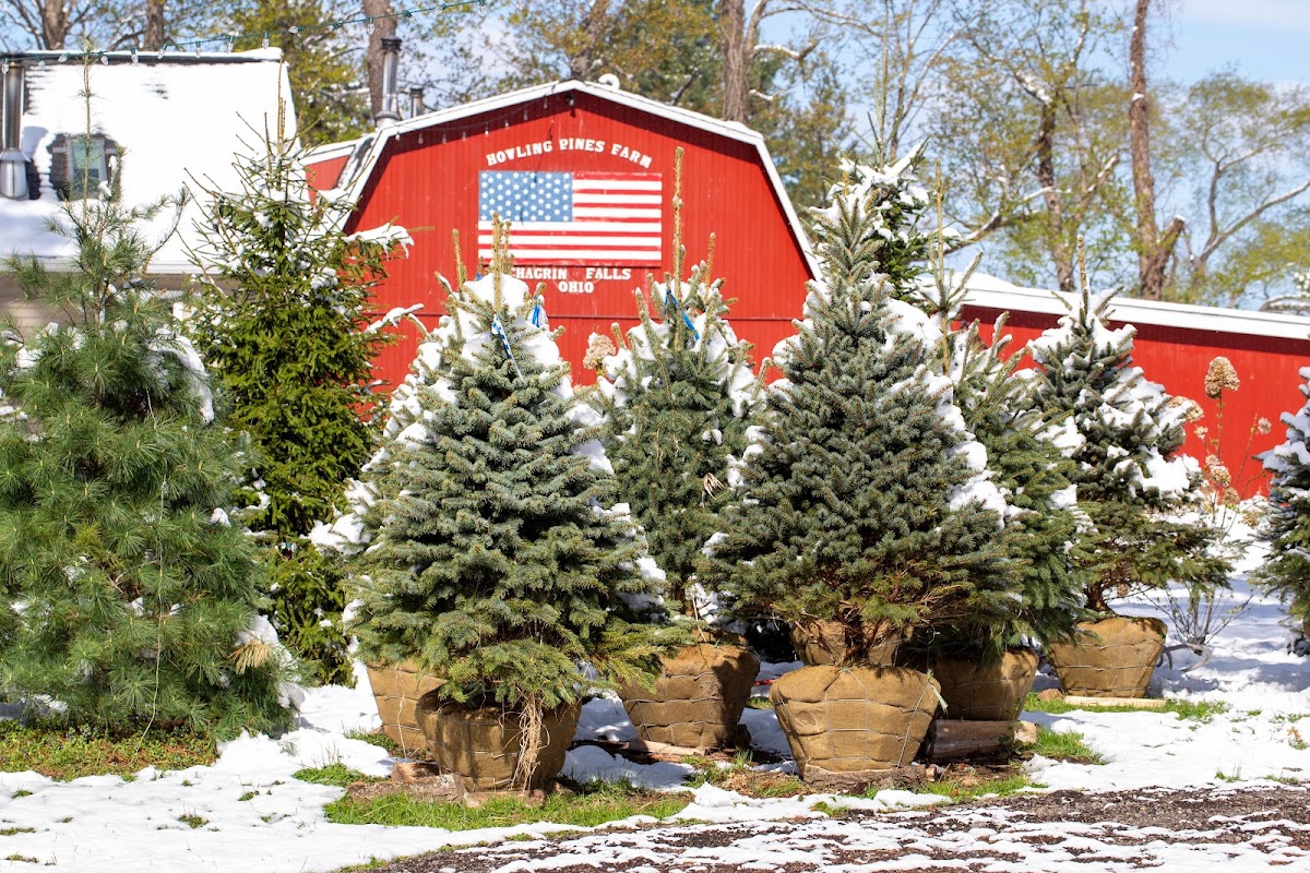 Howling Pines Farm & Market in Chagrin Falls, Ohio