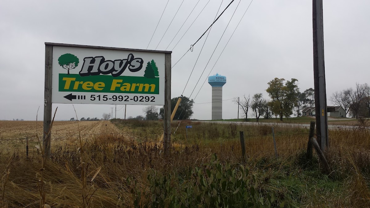 Hoys Tree Farm in Dallas Center, Iowa