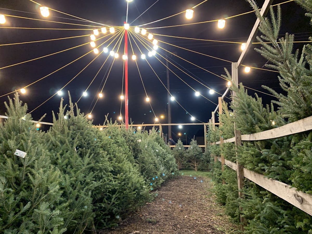 HTH Christmas Tree Lot in Columbus, Ohio