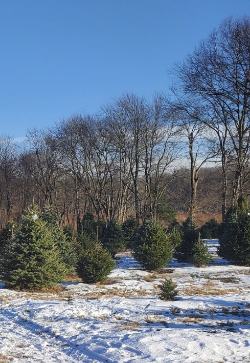 Humming Grove Farm in East Windsor, Connecticut