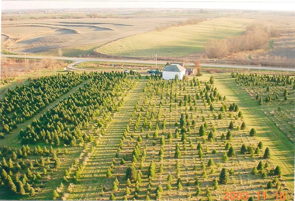 Hunter Brothers Tree Farm in Chariton, Iowa