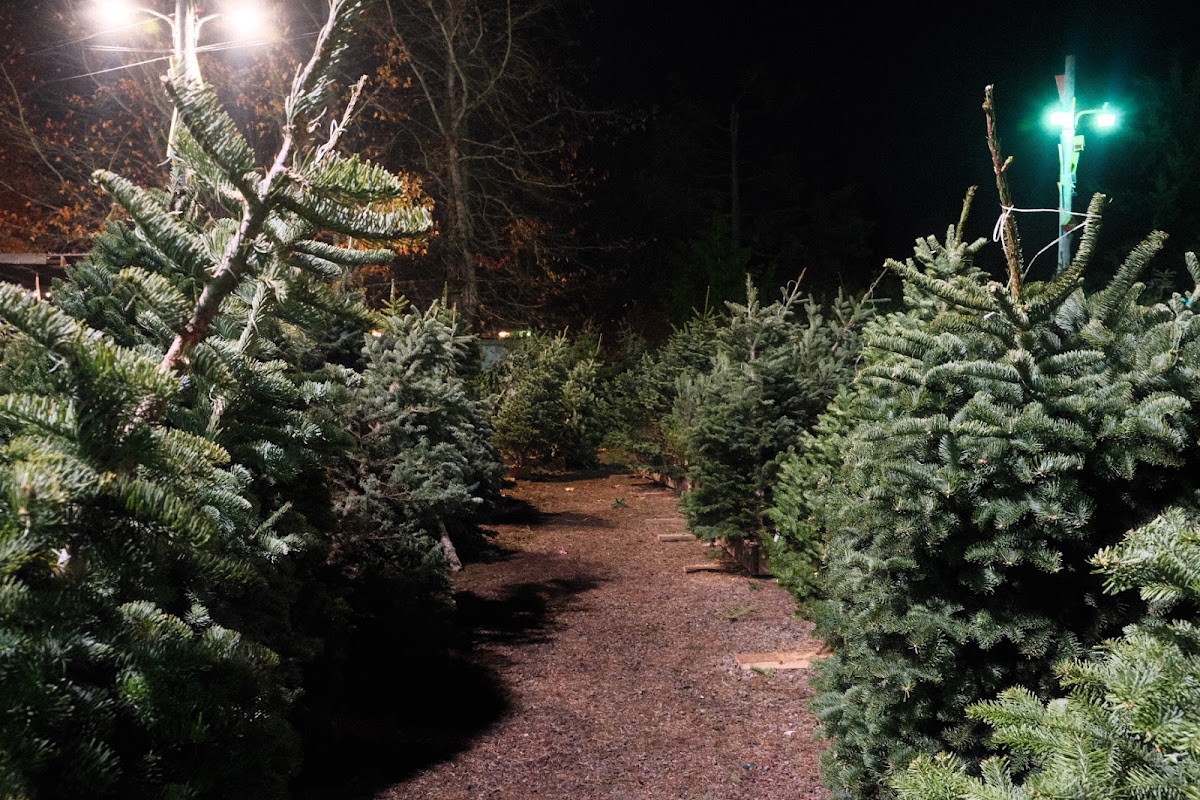 Hunter Tree Farm lot in Seattle, Washington