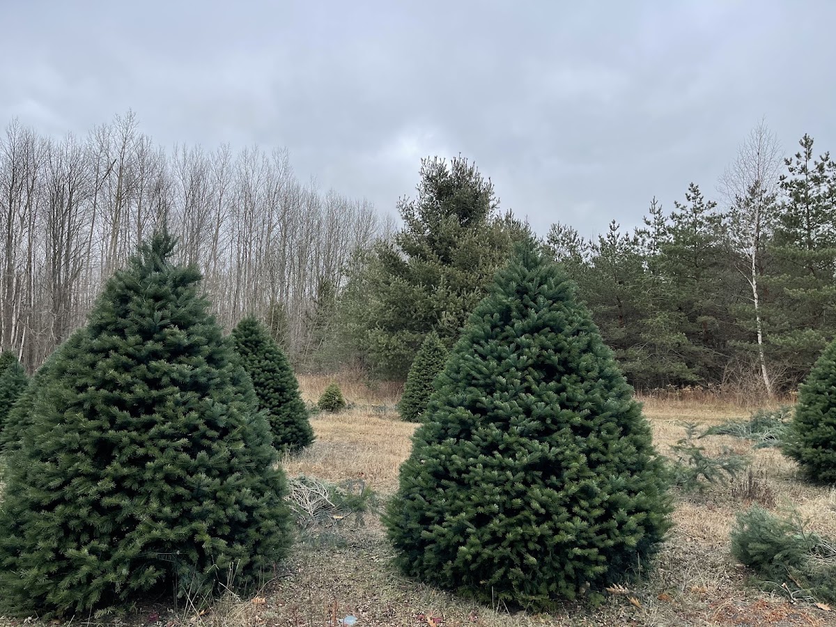 Huron View Tree & Berry Farm in Black River, Michigan