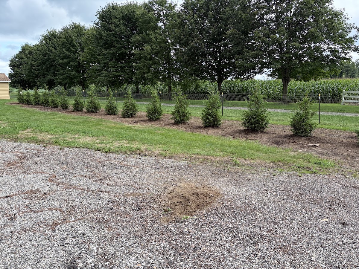 J K Tree Farm in North Liberty, Indiana