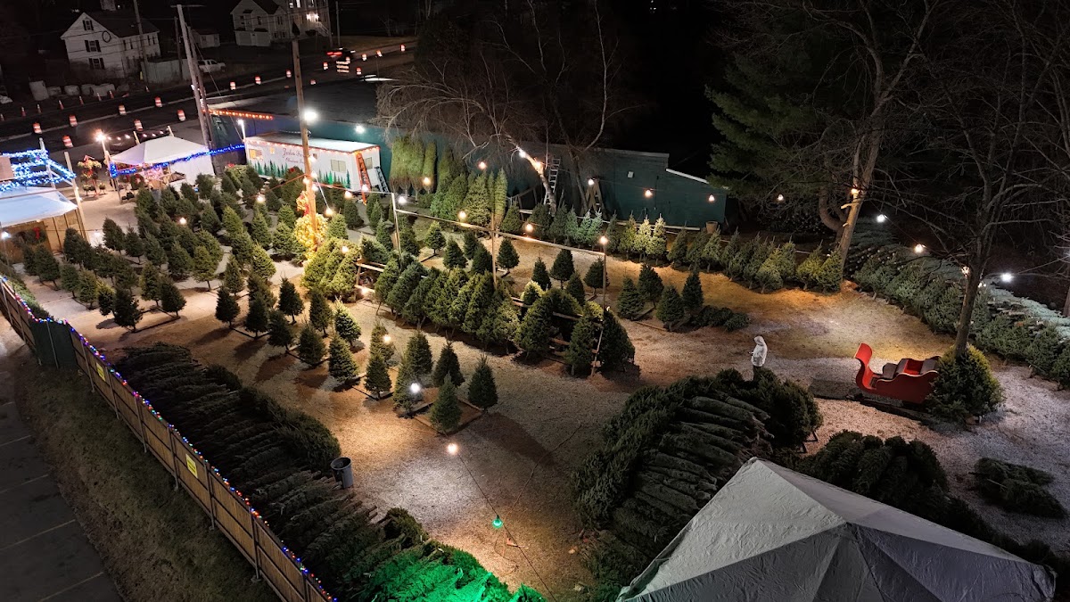 Jenkins Family Christmas Trees in Billerica, Massachusetts