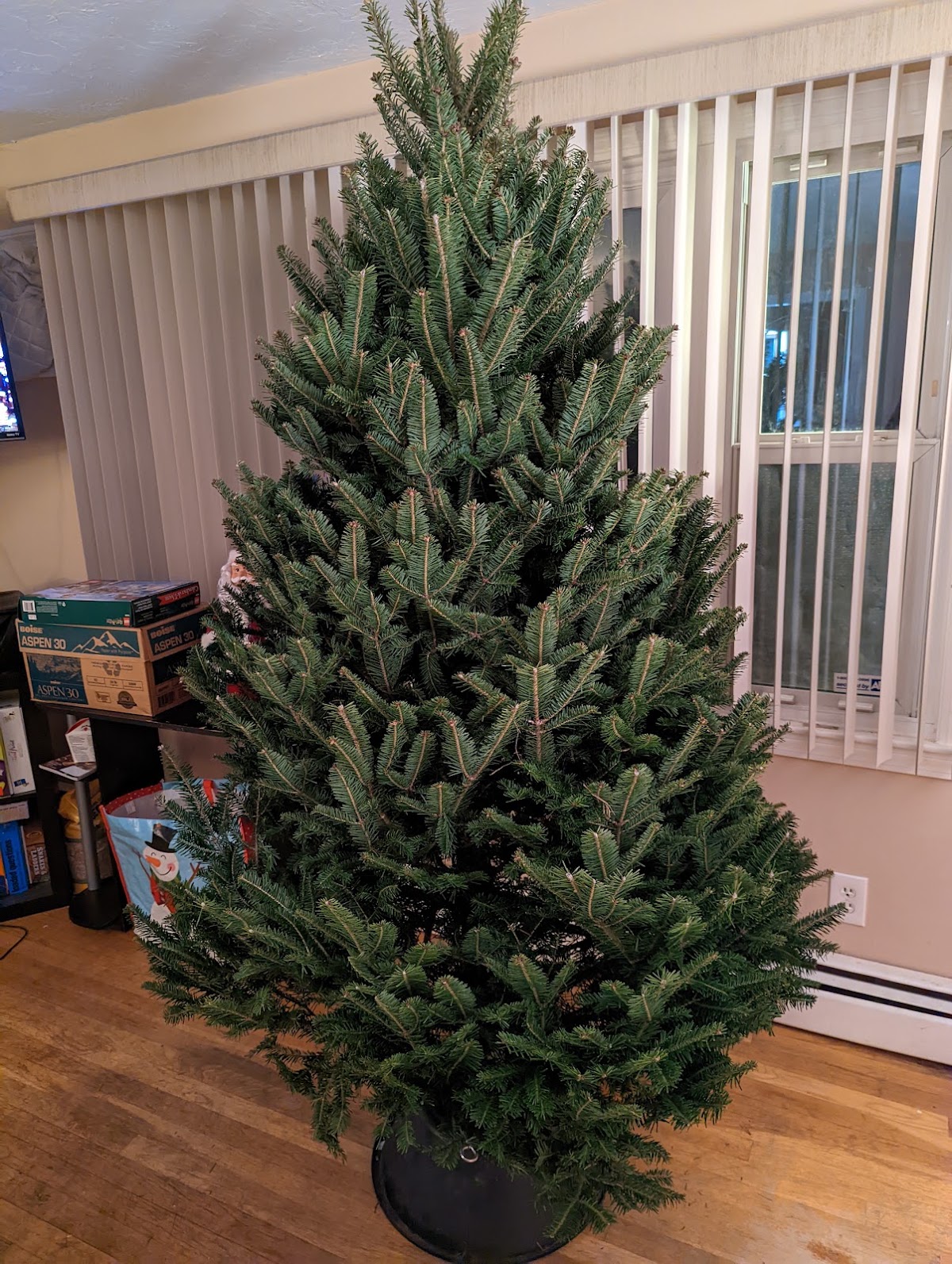 Jim's Christmas Trees in Charlton, Massachusetts