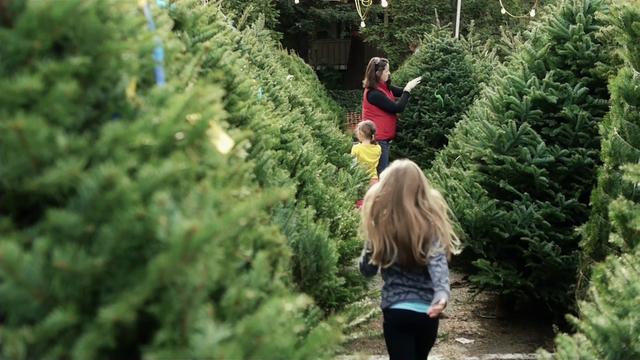 Jordan's Pumpkin Patch and Christmas Tree Lot in Boise, Idaho