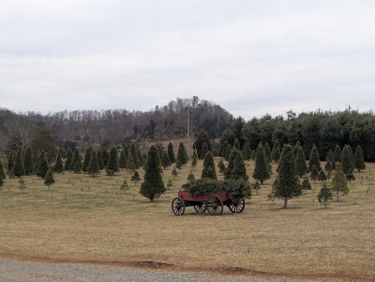 Joshua's Mountain Christmas Tree Farm in Church Hill, Tennessee