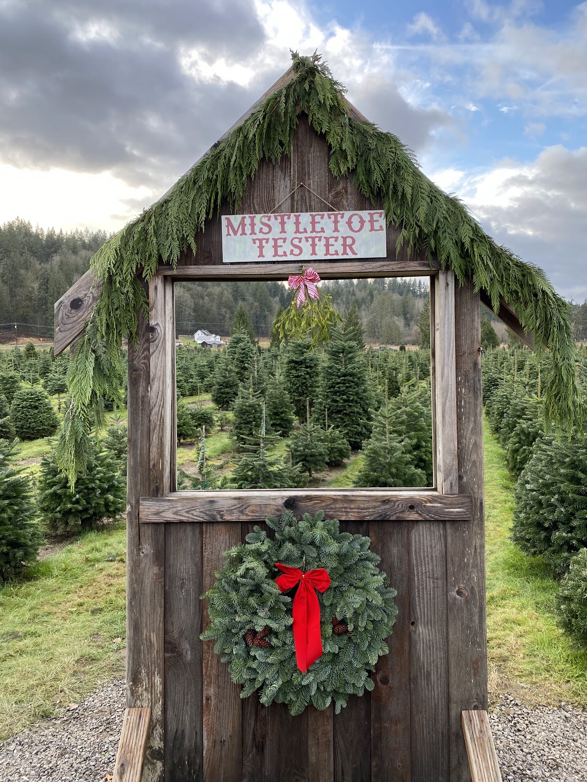 JP Landscape Tree Farm in Duvall, Washington
