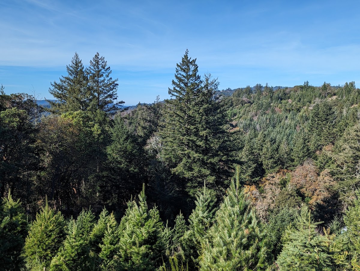 JS Tabacco Ranch in Los Gatos, California