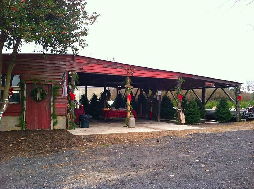 Kaenzig Tree Farm in Galloway, New Jersey