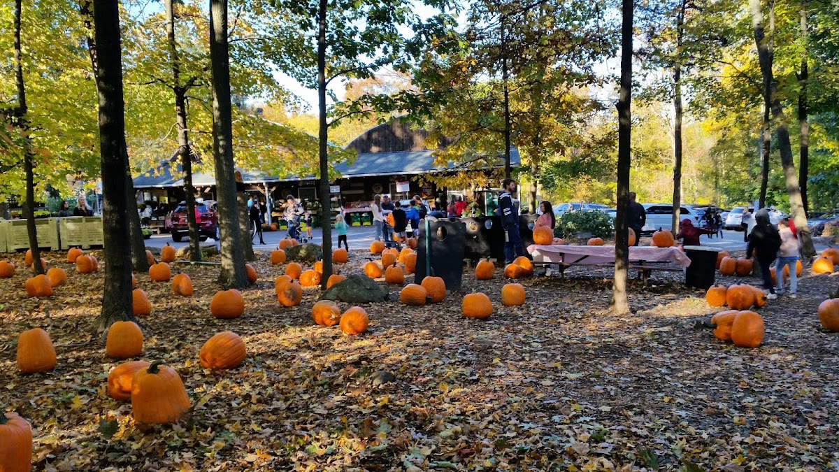 Karabin Farms in Southington, Connecticut