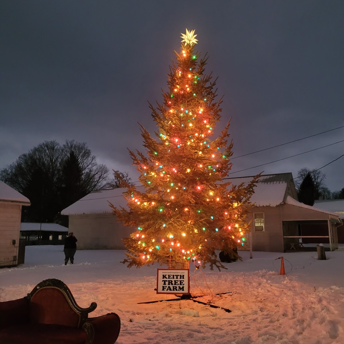 Keith Tree Farm in North Brookfield, New York