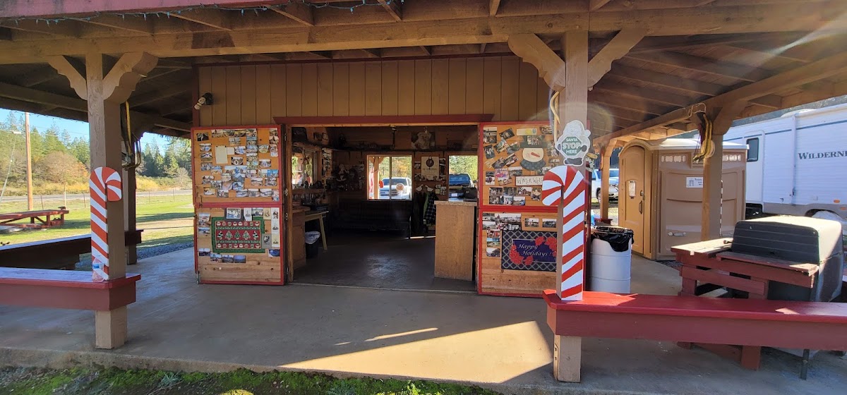 Kenny, Harry & Heidi's Tree Farm in Garden Valley, California