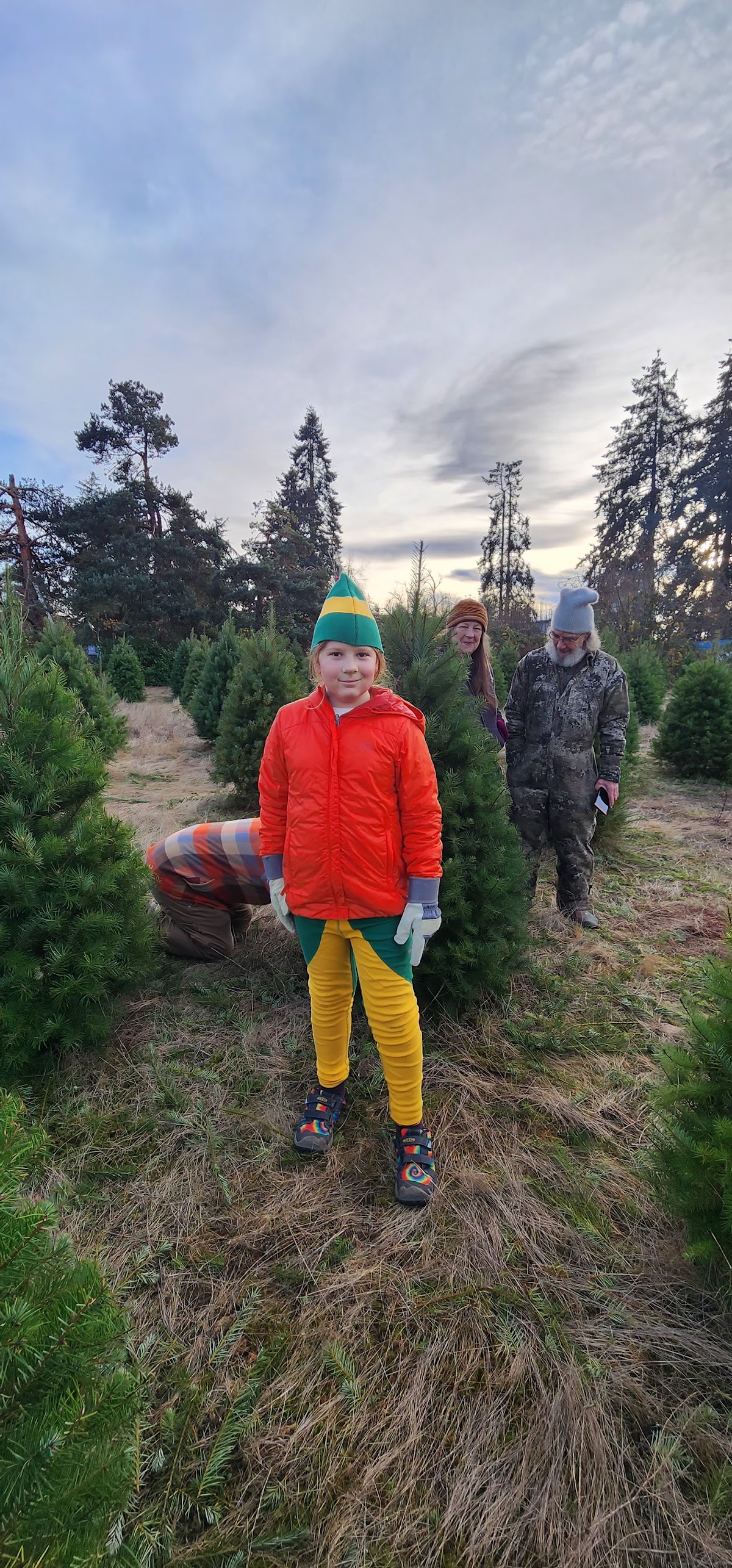 Kessler's Christmas Trees in Pleasant Hill, Oregon
