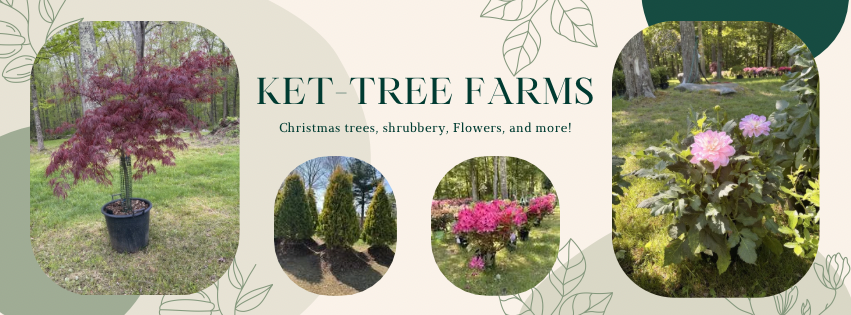 Ket-Tree Farms & Nursery in Monson, Massachusetts