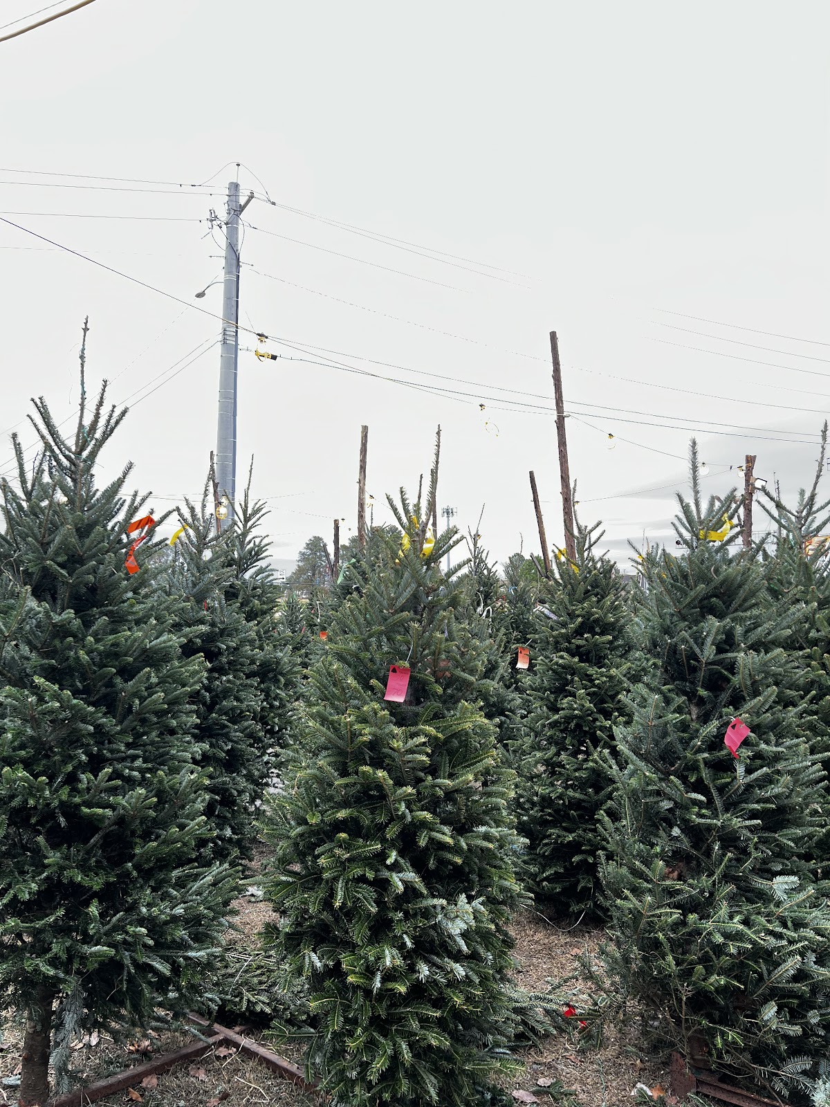 Kimi Farms in Columbus, Georgia