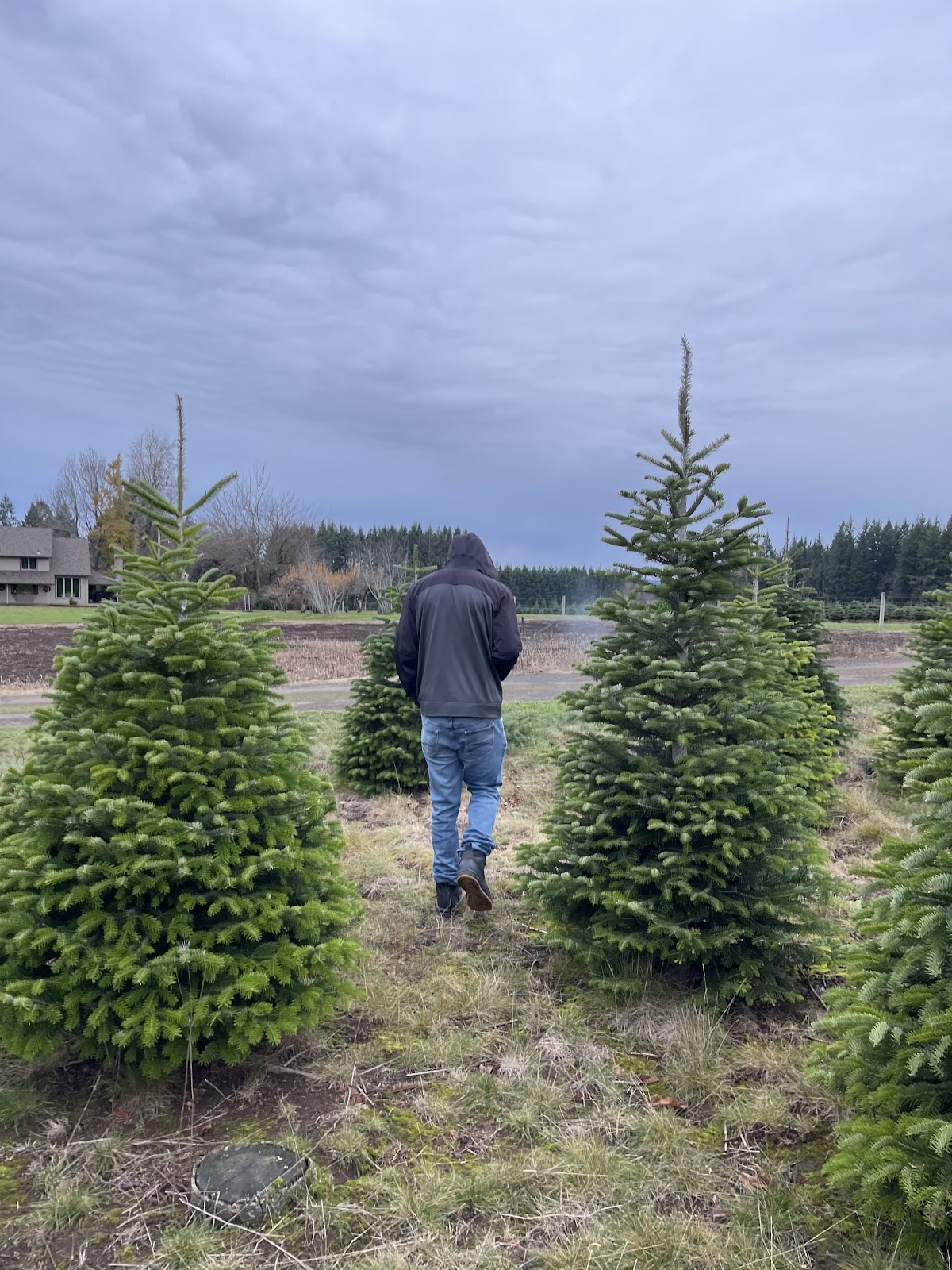 Knapp Farms in Sandy, Oregon
