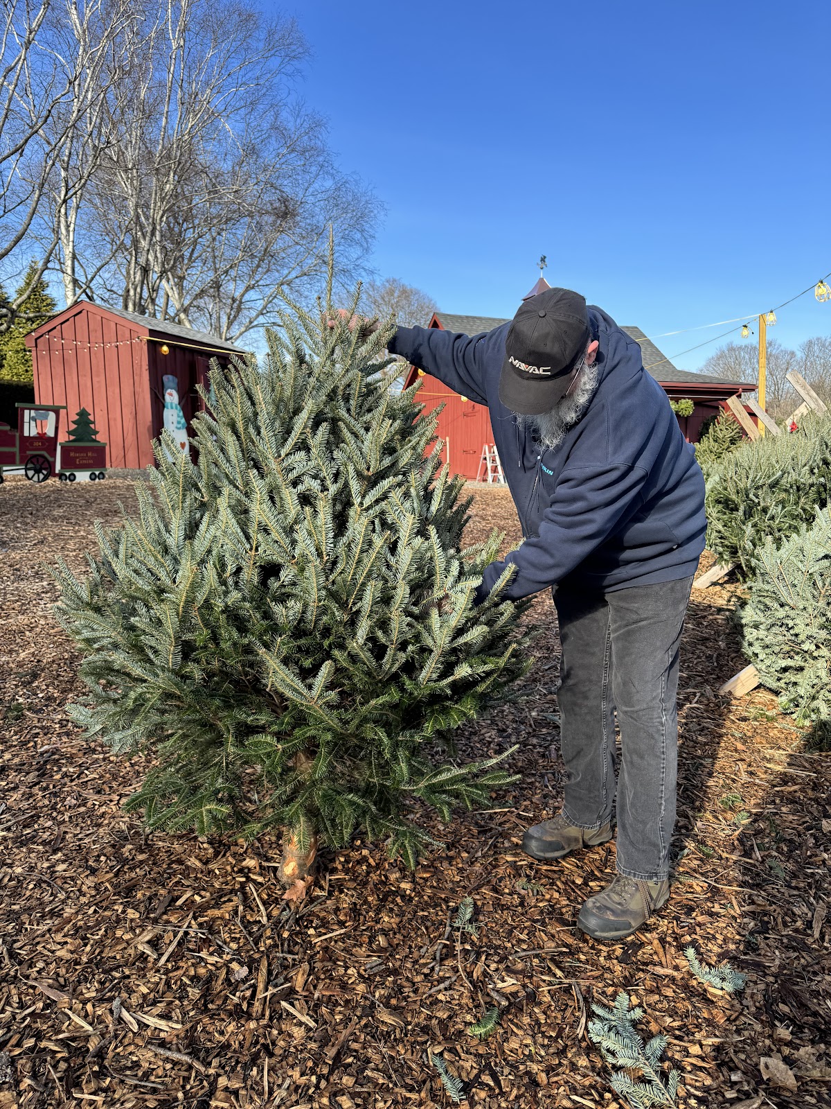 Kogut Hemlock Tree Farm in Meriden, Connecticut