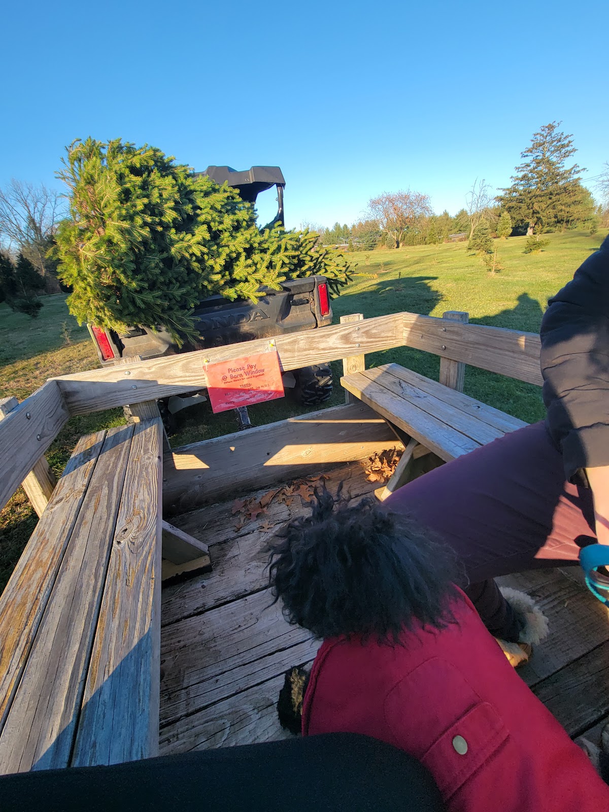 Kozicki Christmas Tree Farm in Flemington, New Jersey