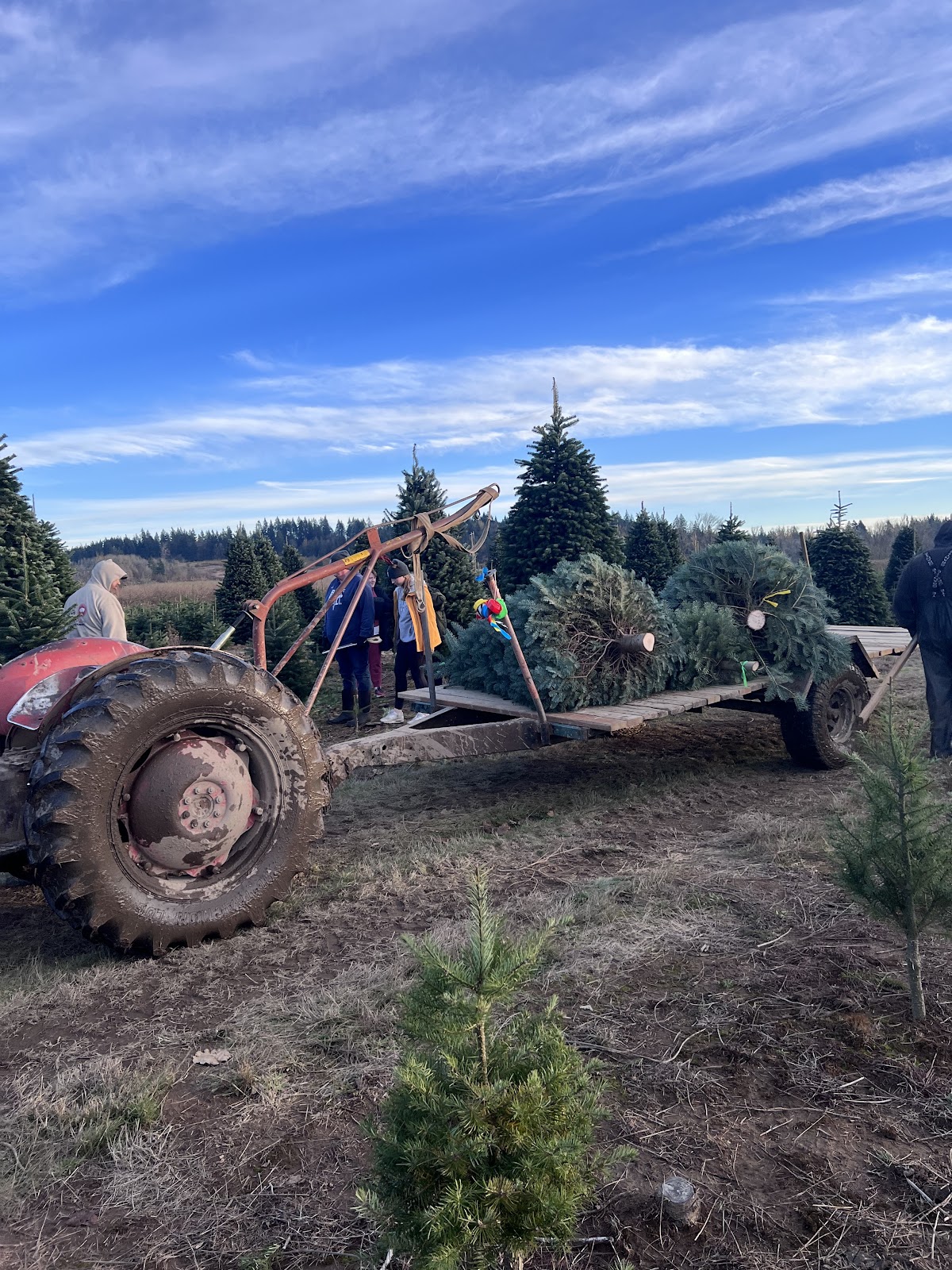 Kraft & Son (Kraft Farms) in Canby, Oregon