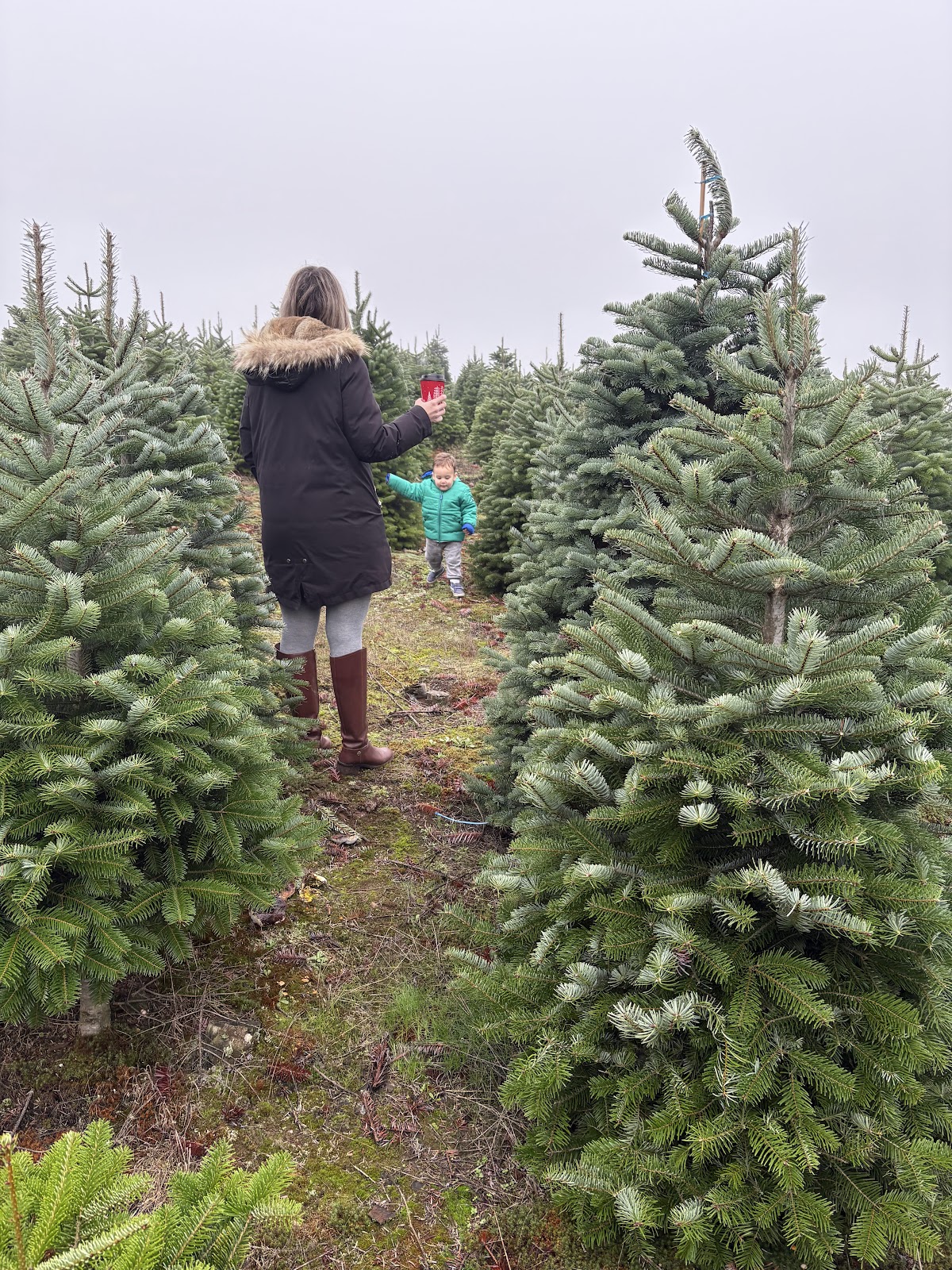 Kraxberger Farms in Hillsboro, Oregon