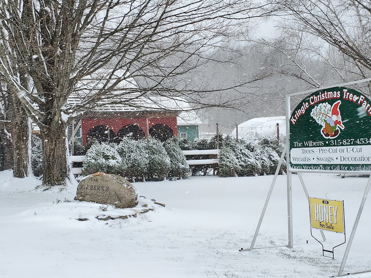 Kringle Christmas Tree Farm in Westernville, New York