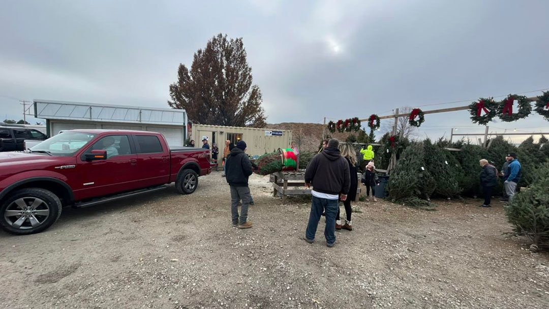 Kringle's Tree Factory in New Lenox, Illinois