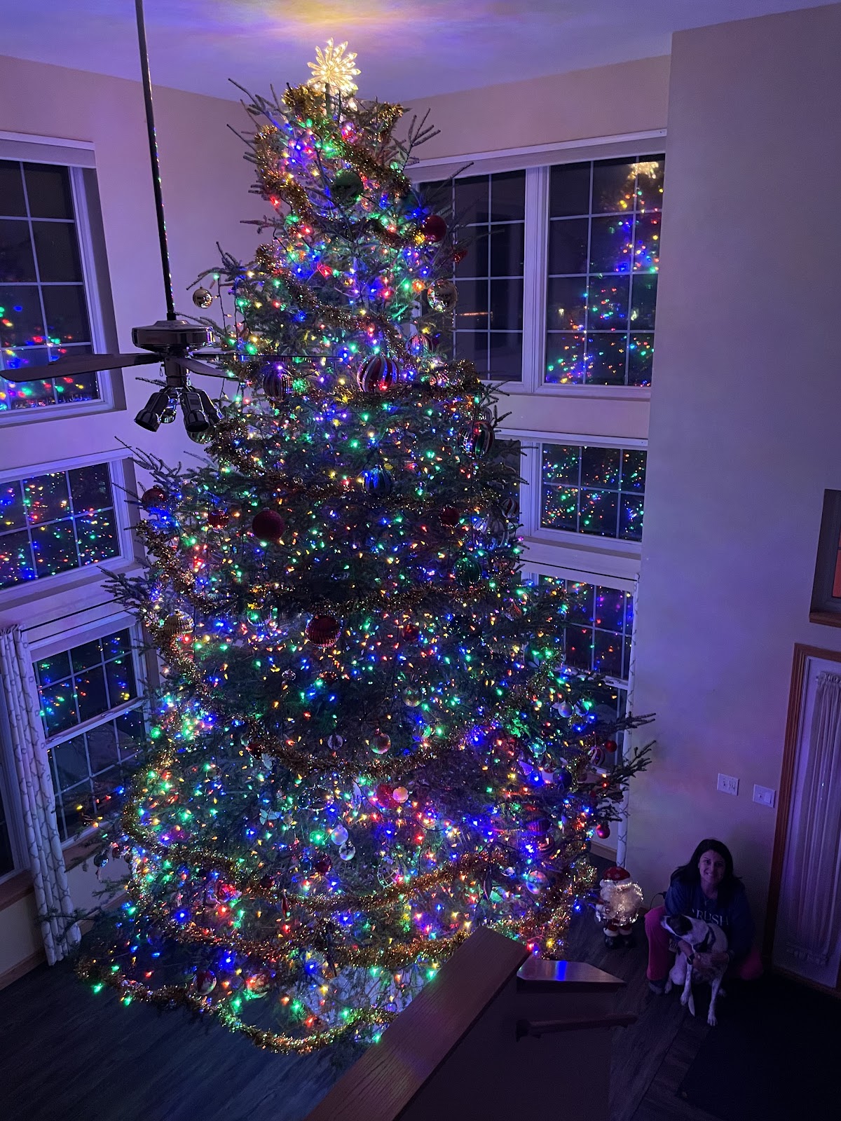 L & M Tree & Wreath in Lisle, Illinois