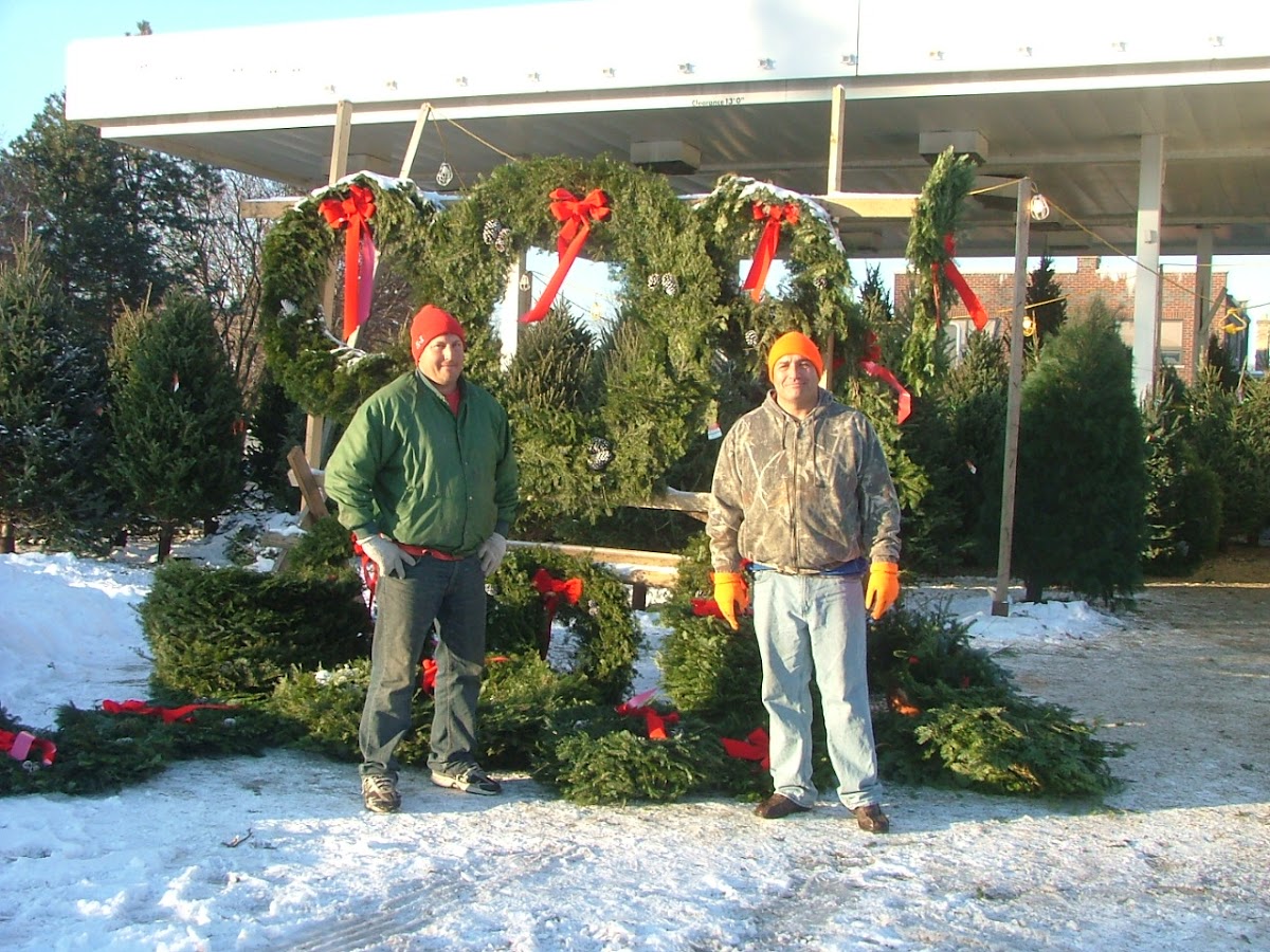 L&M Tree & Wreath Retail Sales Lot in Palatine, Illinois