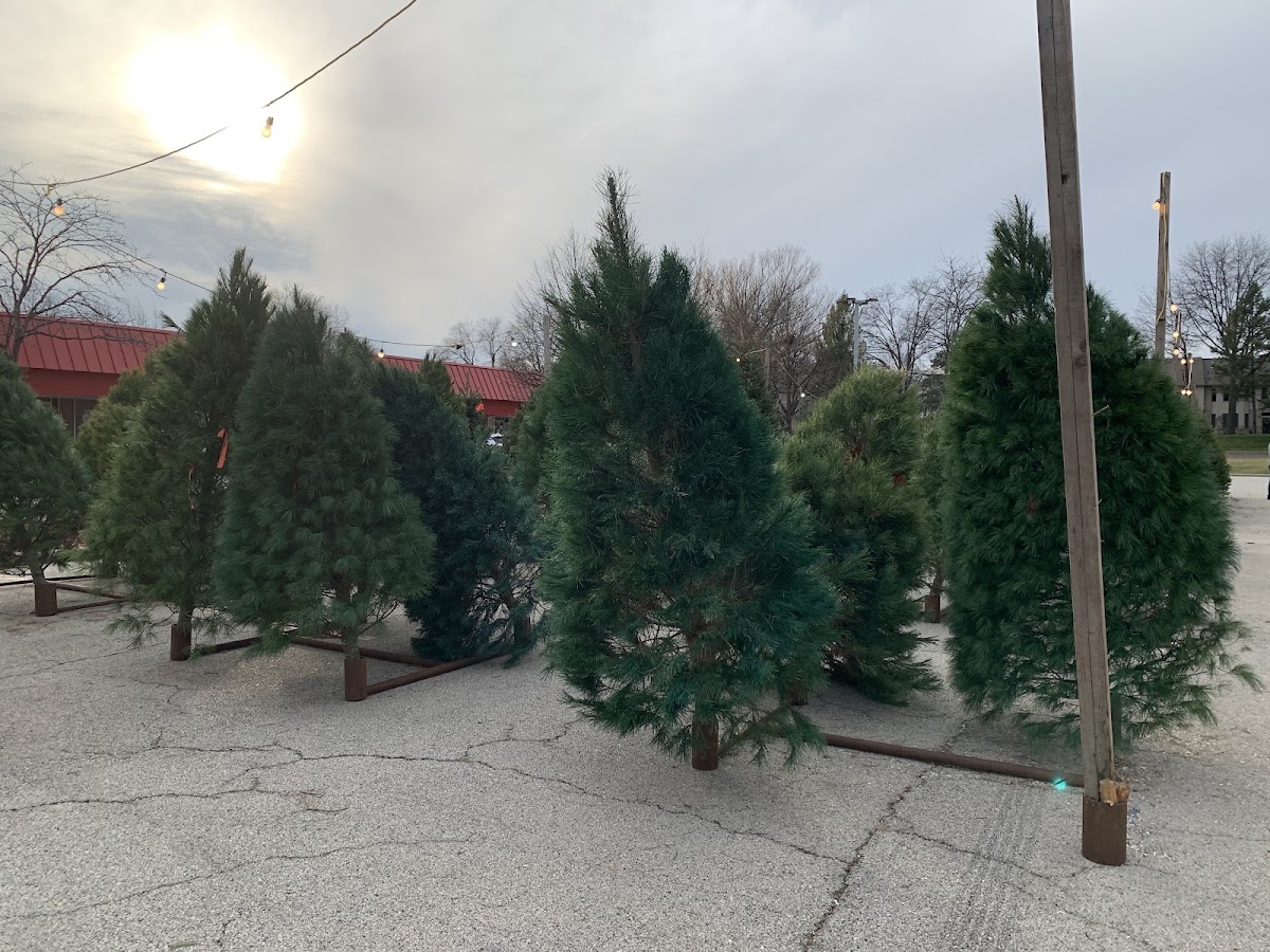 L&M Tree & Wreath in Roselle, Illinois