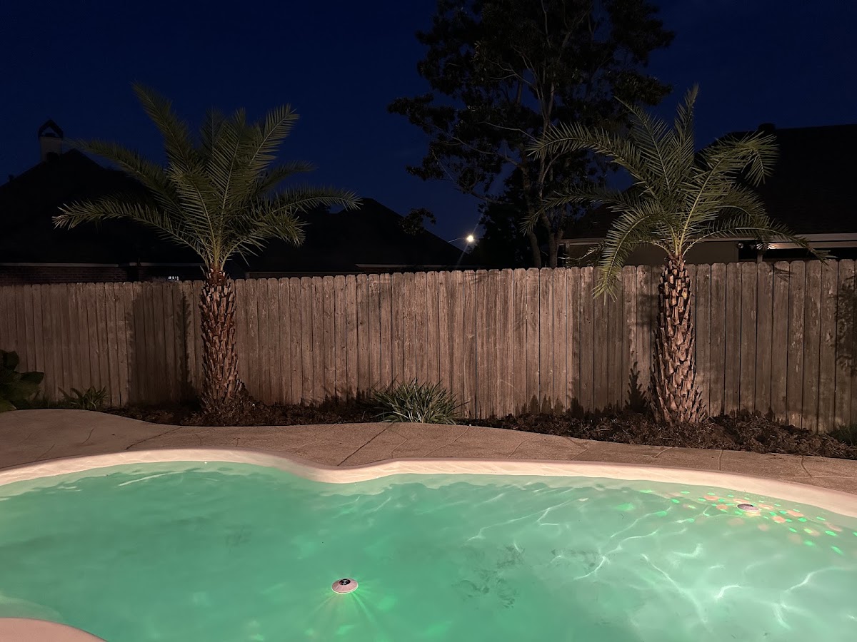 LA Palm Farms in Erath, Louisiana
